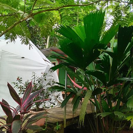Apartmán Glamping Naioth Guápiles Exteriér fotografie