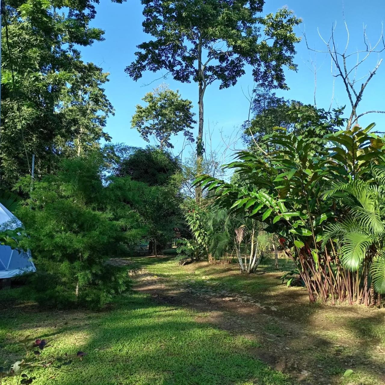 Apartmán Glamping Naioth Guápiles Exteriér fotografie