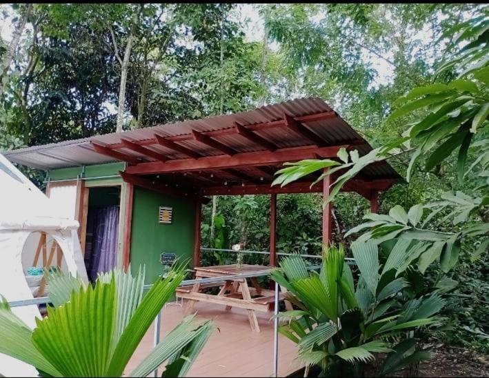 Apartmán Glamping Naioth Guápiles Exteriér fotografie
