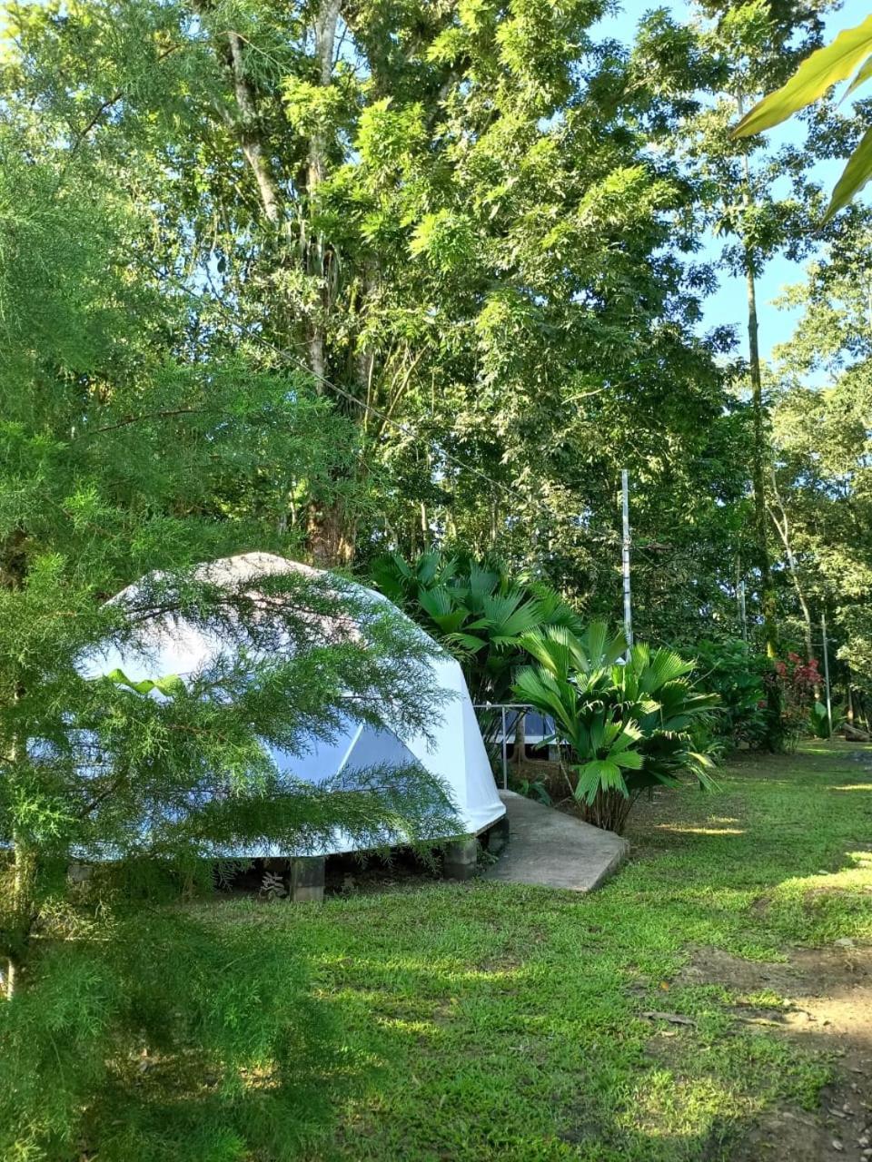 Apartmán Glamping Naioth Guápiles Exteriér fotografie