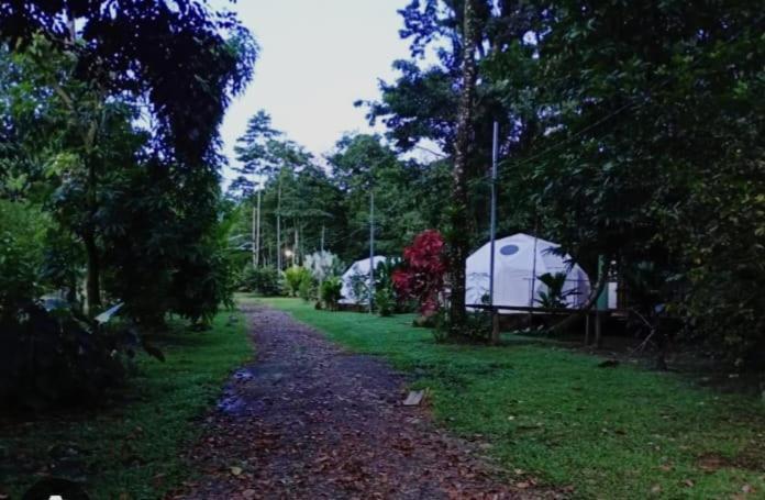 Apartmán Glamping Naioth Guápiles Exteriér fotografie