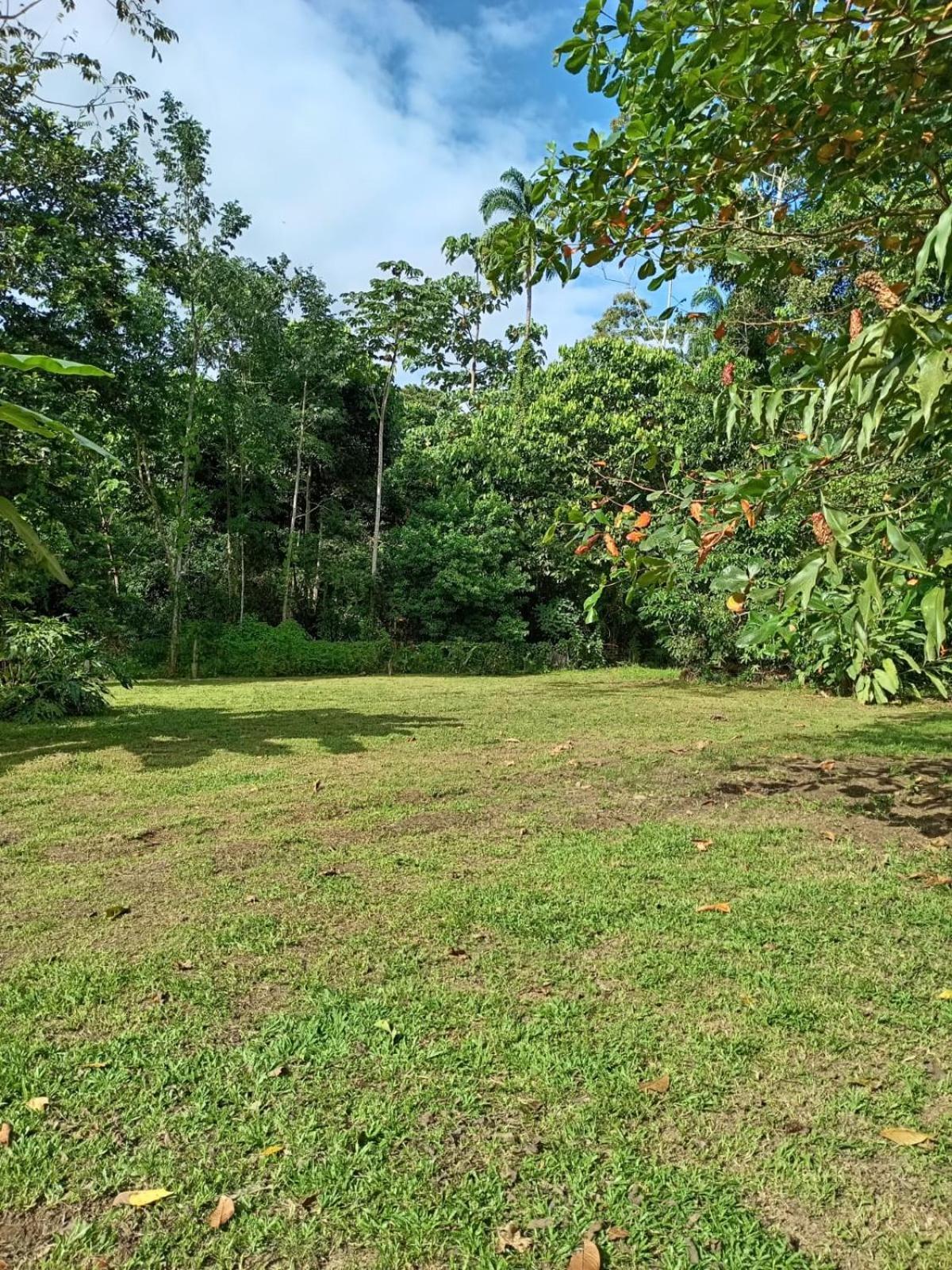 Apartmán Glamping Naioth Guápiles Exteriér fotografie