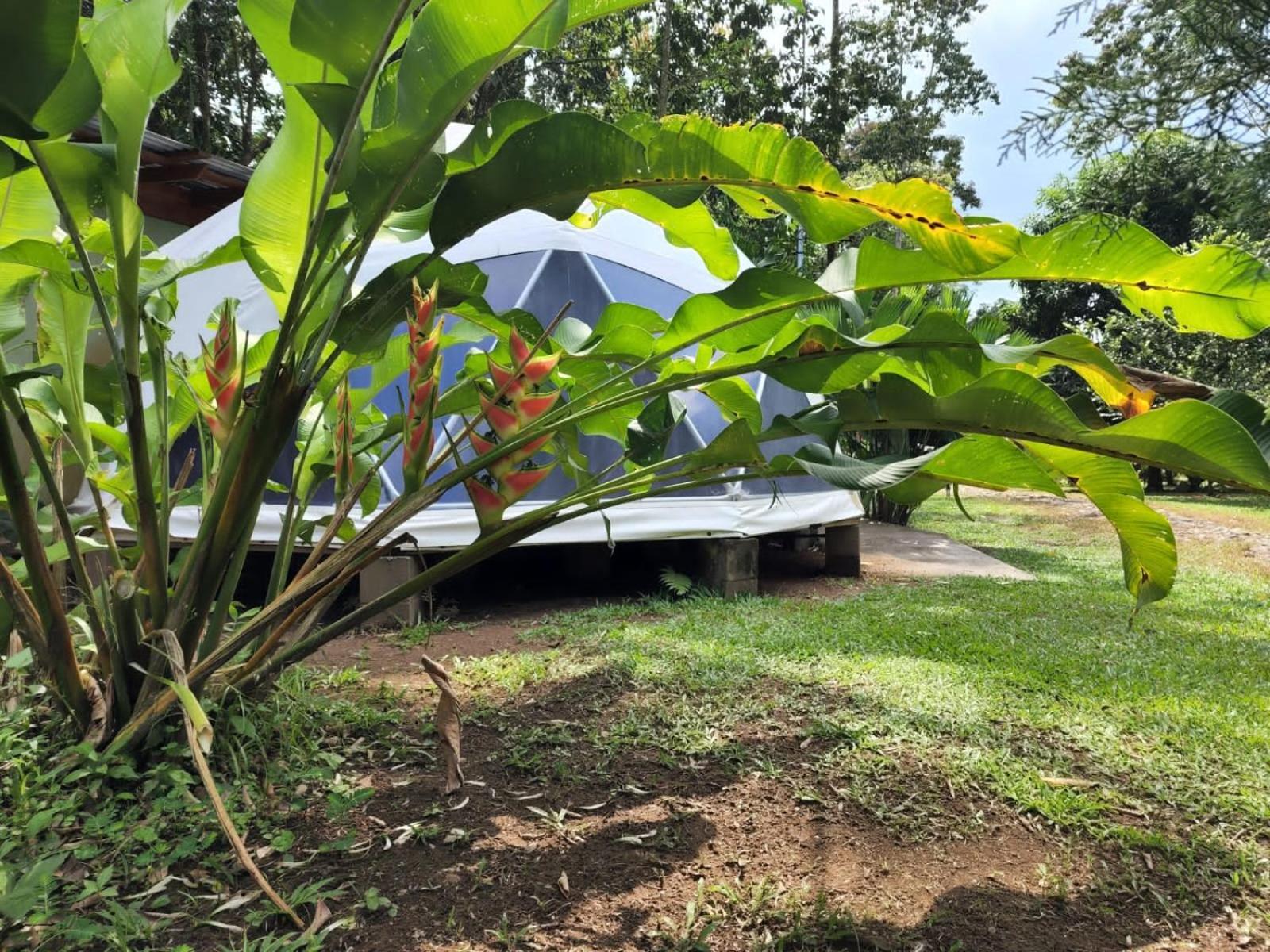 Apartmán Glamping Naioth Guápiles Exteriér fotografie