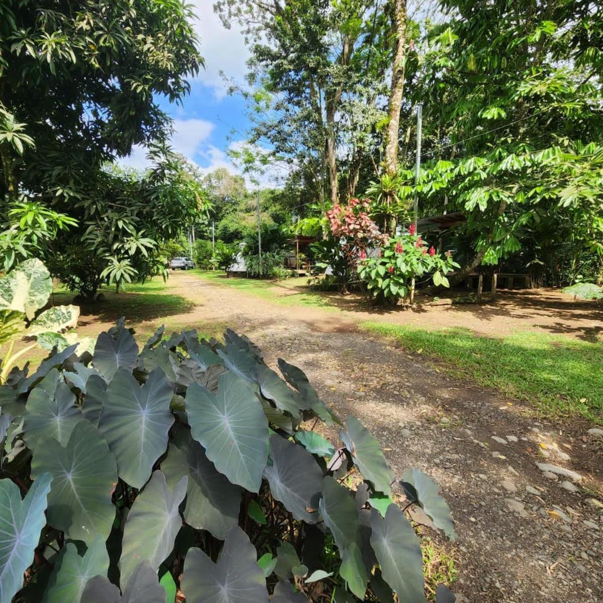 Apartmán Glamping Naioth Guápiles Exteriér fotografie