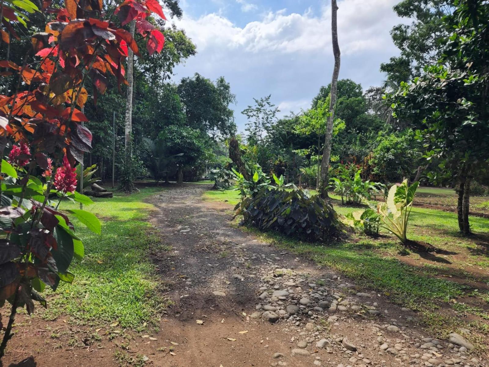 Apartmán Glamping Naioth Guápiles Exteriér fotografie