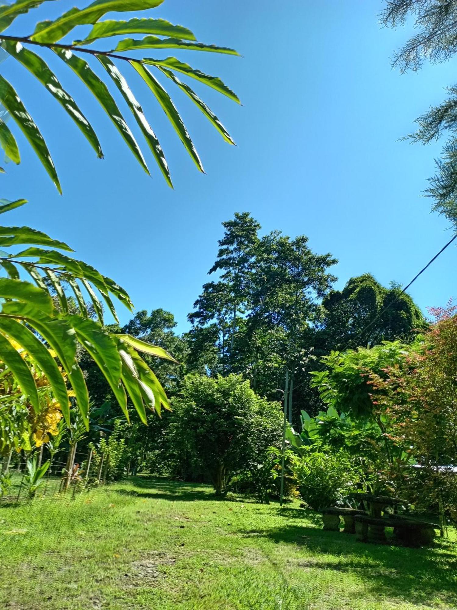 Apartmán Glamping Naioth Guápiles Pokoj fotografie