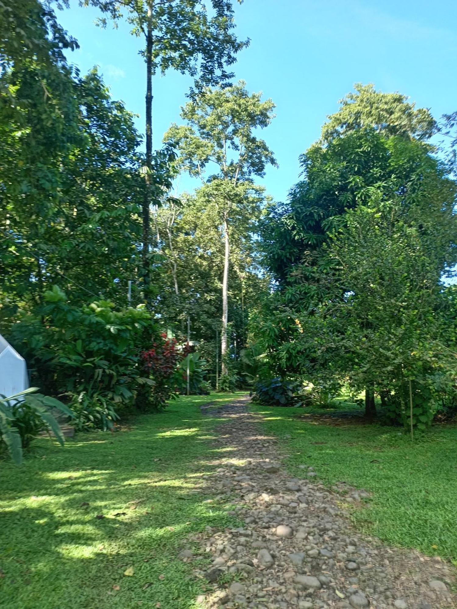 Apartmán Glamping Naioth Guápiles Pokoj fotografie