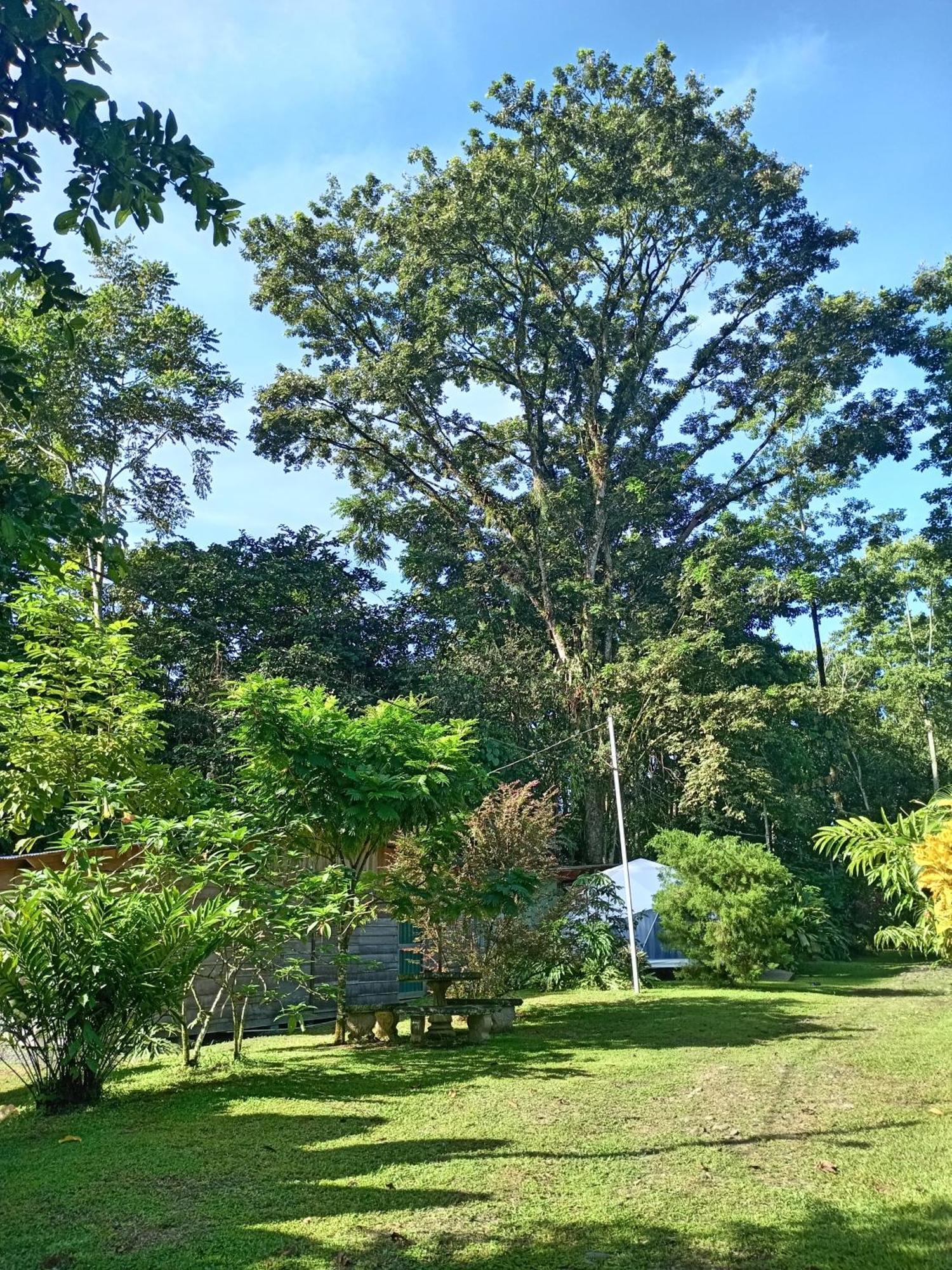 Apartmán Glamping Naioth Guápiles Exteriér fotografie