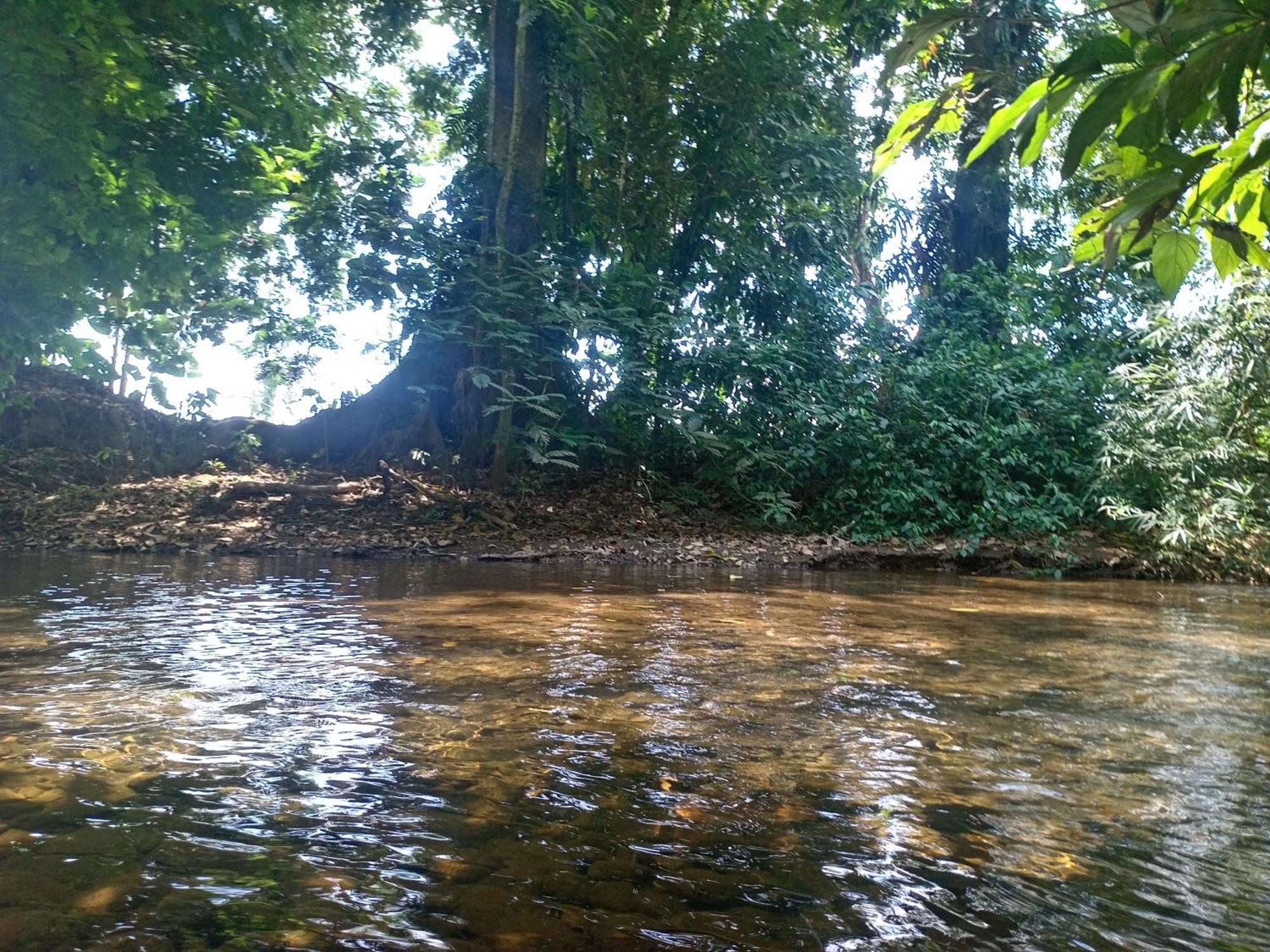 Apartmán Glamping Naioth Guápiles Exteriér fotografie