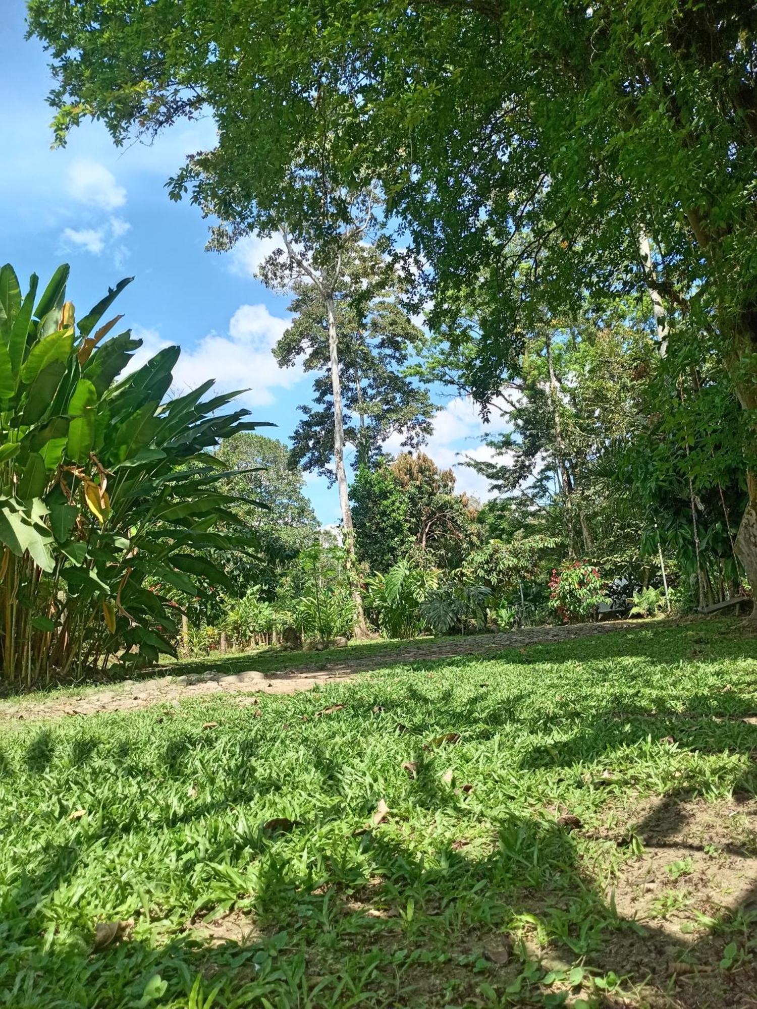 Apartmán Glamping Naioth Guápiles Pokoj fotografie