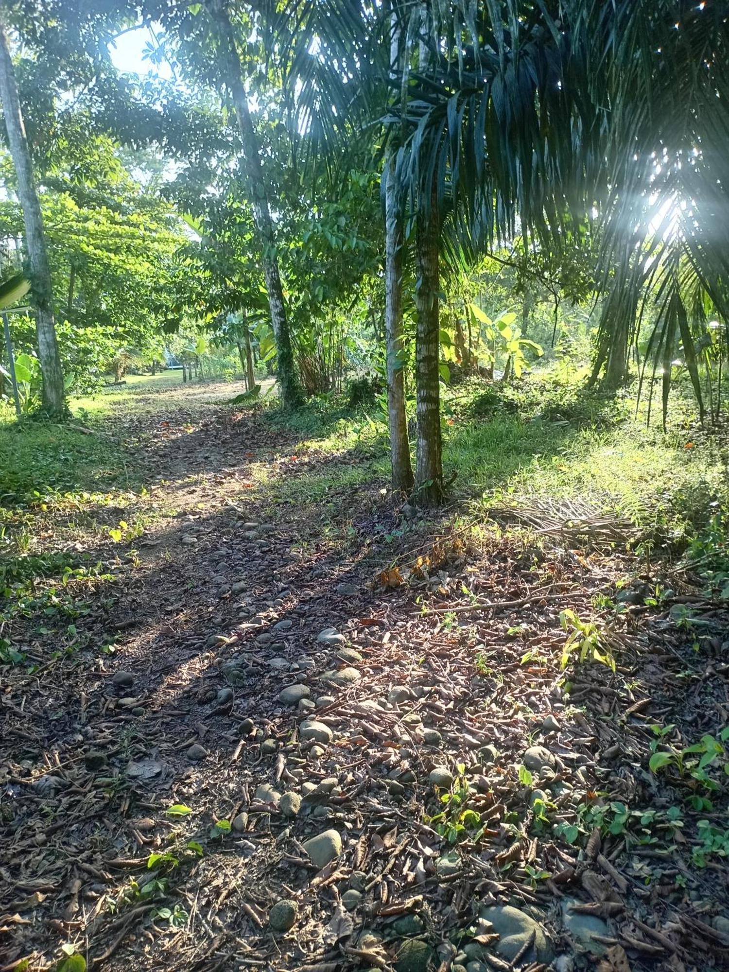 Apartmán Glamping Naioth Guápiles Exteriér fotografie